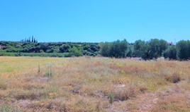 Парцел 468 m² в Ситония (Халкидики)