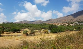Land 1370 m² auf Kreta