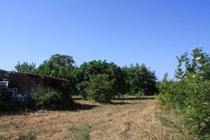 Realty photo 3
