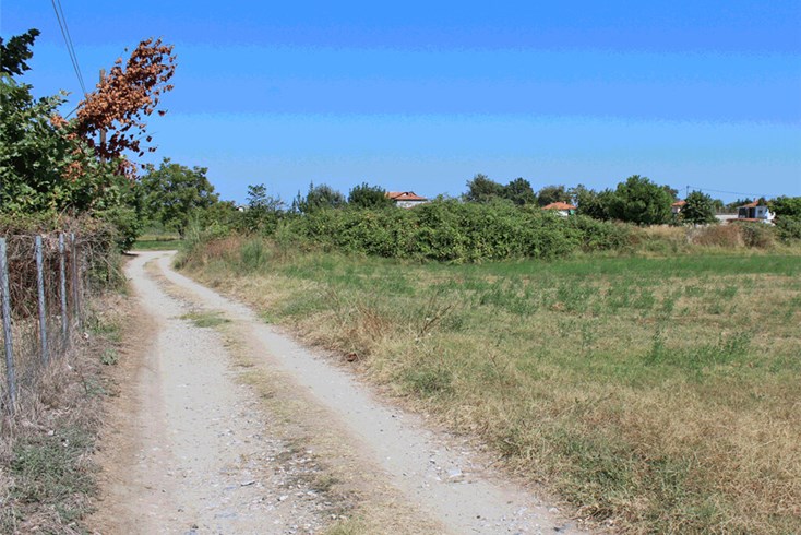 Realty photo 1