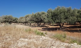أرض 10000 m² في جزيرة كريت