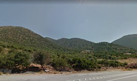 Land 230000 m² in Crete