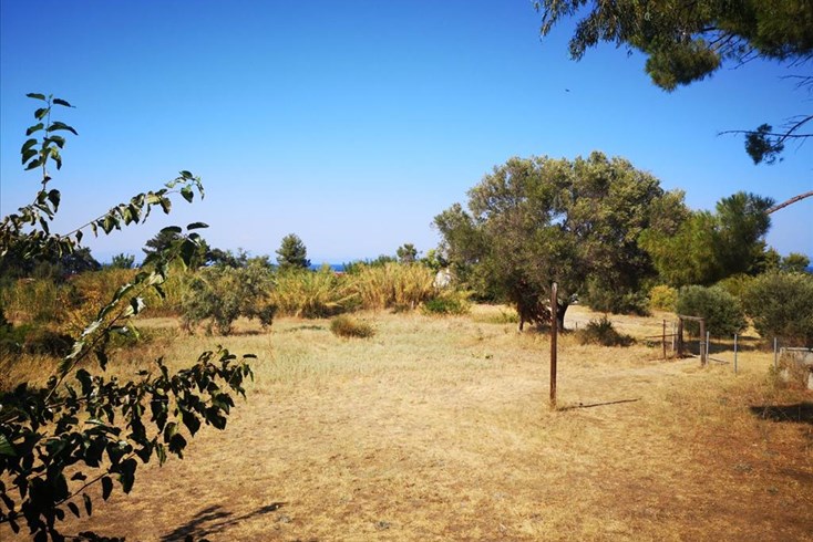 Realty photo 2