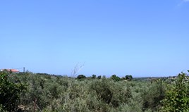 Земельна ділянка 11500 m² на Криті