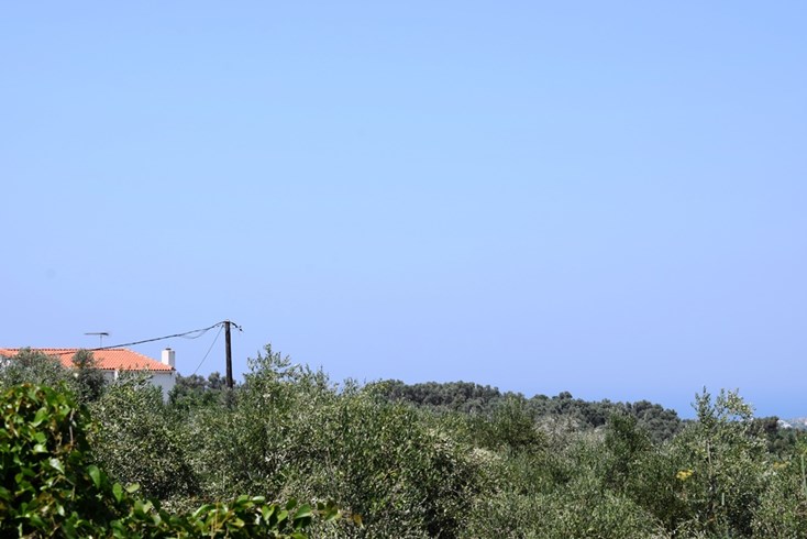 Realty photo 3