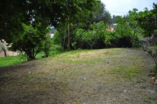 Property 4038 photo 14