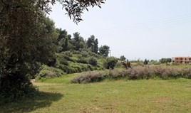 Zemljište 6000 m² na Kasandri (Halkidiki)