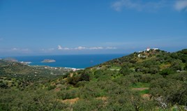 Land 13000 m² in Crete