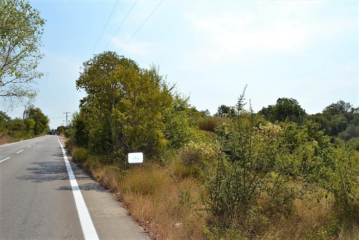Realty photo 3