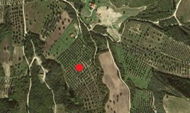 Land 4327 m² auf Kassandra (Chalkidiki)