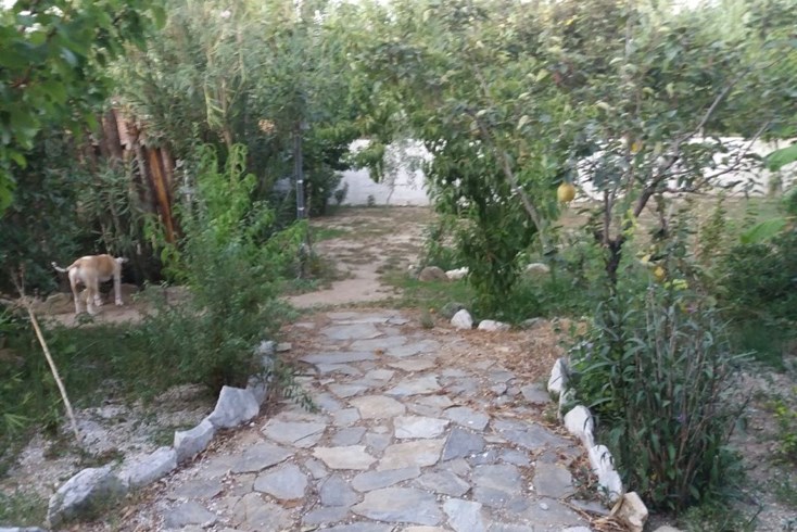 Realty photo 3