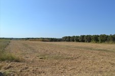 Property 40539 photo 2