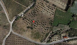 Парцел 20000 m² на Крит