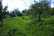 Property 4061 photo 2