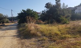 სასტუმრო 1623 m² კასანდრაზე (ქალკიდიკი)