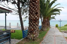 Property 4078 photo 5