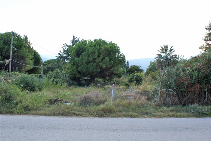 Realty photo 3