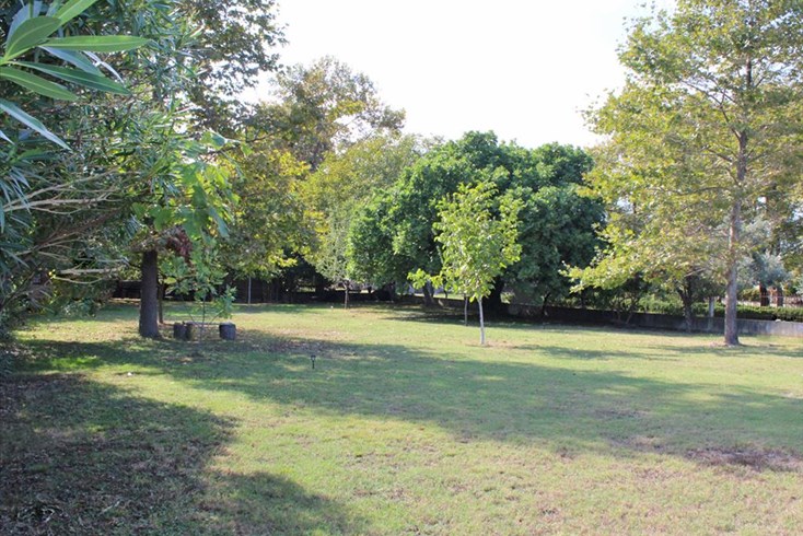 Realty photo 2