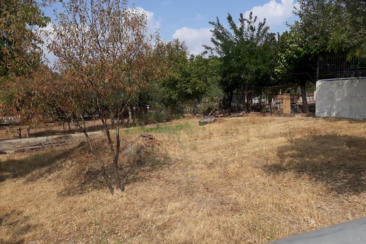 Realty photo 1