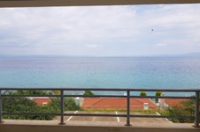 Property 40843 photo 12