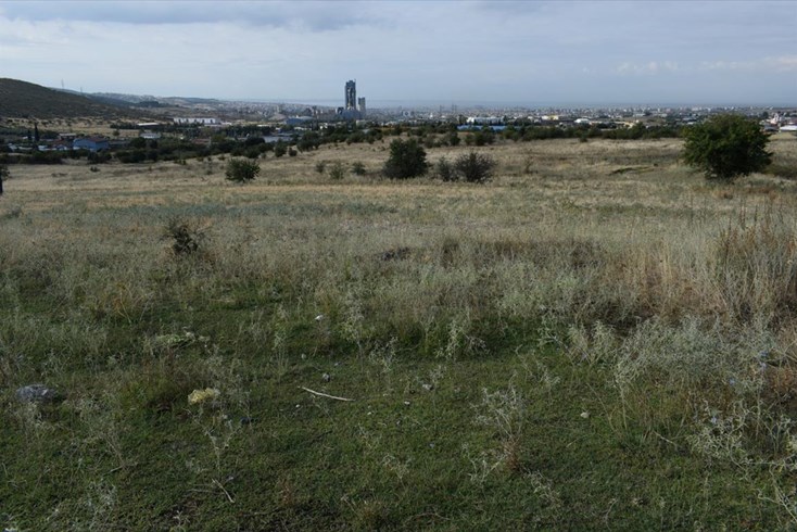 Realty photo 1
