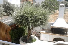 Property 4091 photo 26