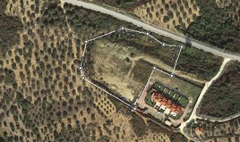 Zemljište 10018 m² na Sitoniji (Halkidiki)