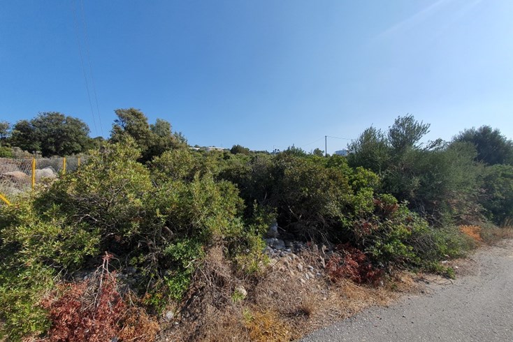 Realty photo 1