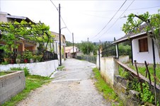 Property 4119 photo 13