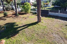 Property 41208 photo 20