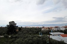 Property 4142 photo 7