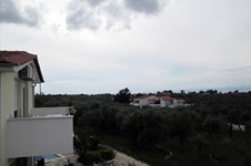 Property 4142 photo 8