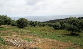 Land 4025 m² on the island of Thassos