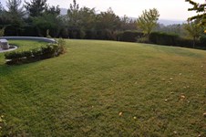 Property 41545 photo 6
