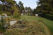 Property 41545 photo 20