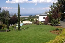 Property 41545 photo 1