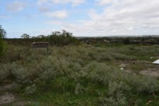 Property 41546 photo 2