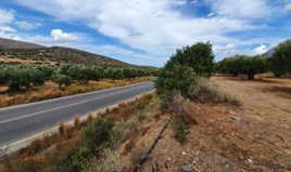 Land 4800 m² in Crete