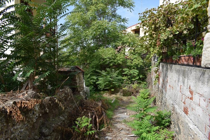 Realty photo 2