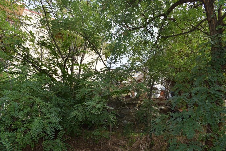 Realty photo 3