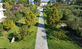 კუნძული 280 m² კასანდრაზე (ქალკიდიკი)