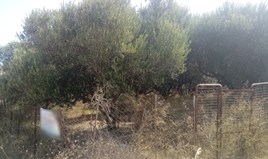 სასტუმრო 2500 m² კრეტაზე