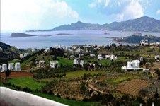 Property 41659 photo 7