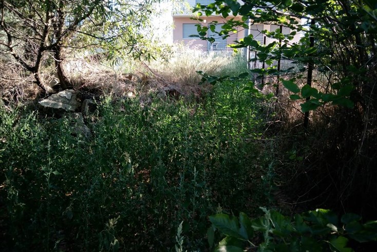 Realty photo 2