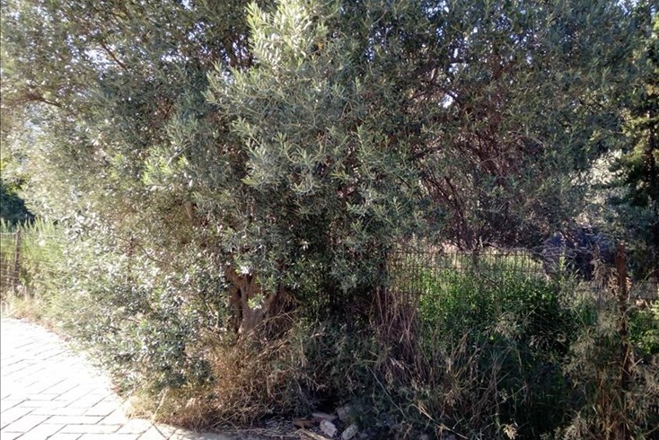 Realty photo 3