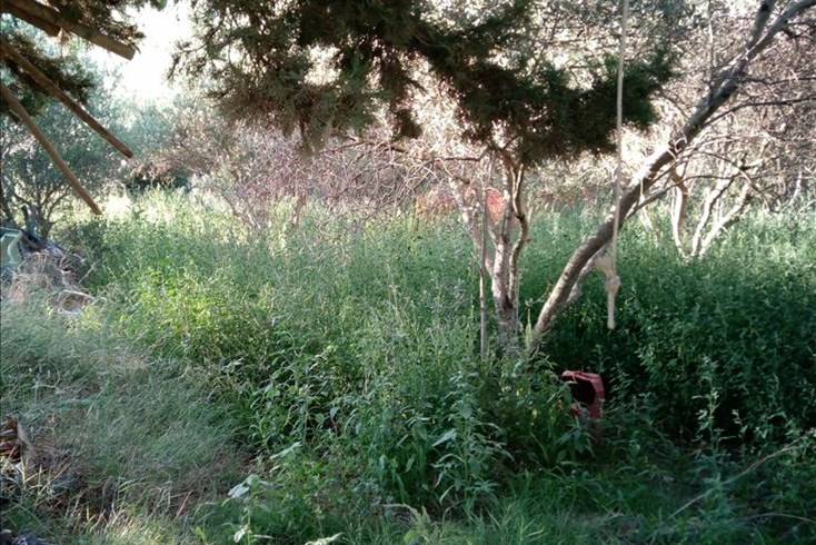 Realty photo 1