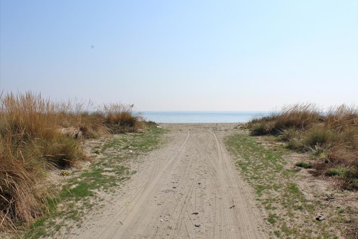 Realty photo 1