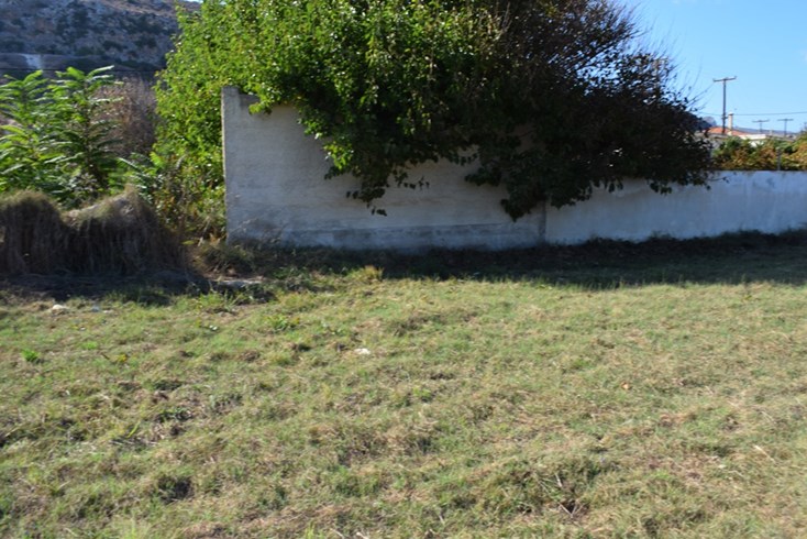 Realty photo 2