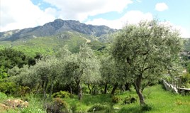 Zemljište 700 m² na Tasosu