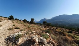 Земельна ділянка 7745 m² на Криті
